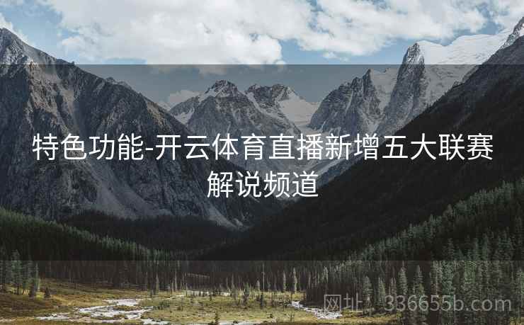 特色功能-开云体育直播新增五大联赛解说频道