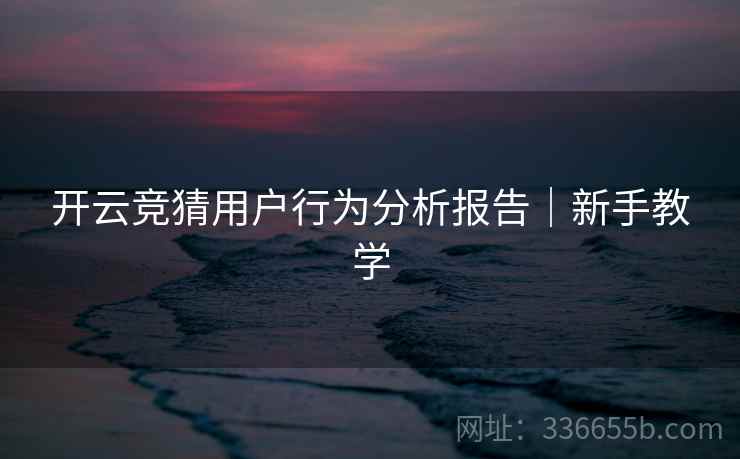 开云竞猜用户行为分析报告｜新手教学