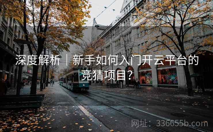 深度解析｜新手如何入门开云平台的竞猜项目？