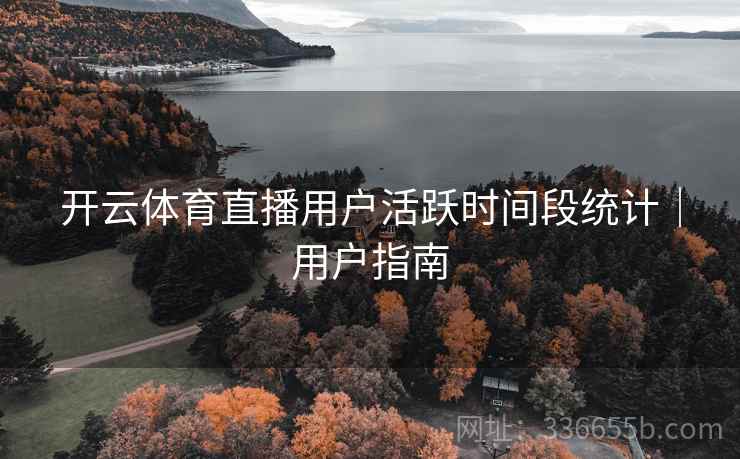 开云体育直播用户活跃时间段统计｜用户指南